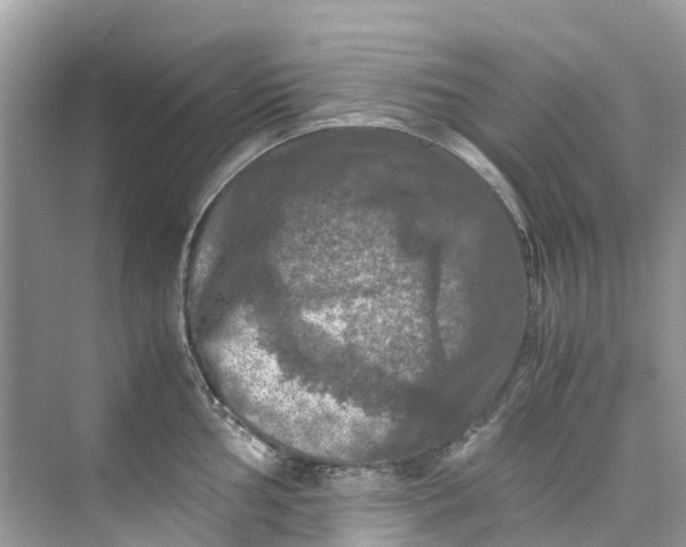 X0000075821002200609291406