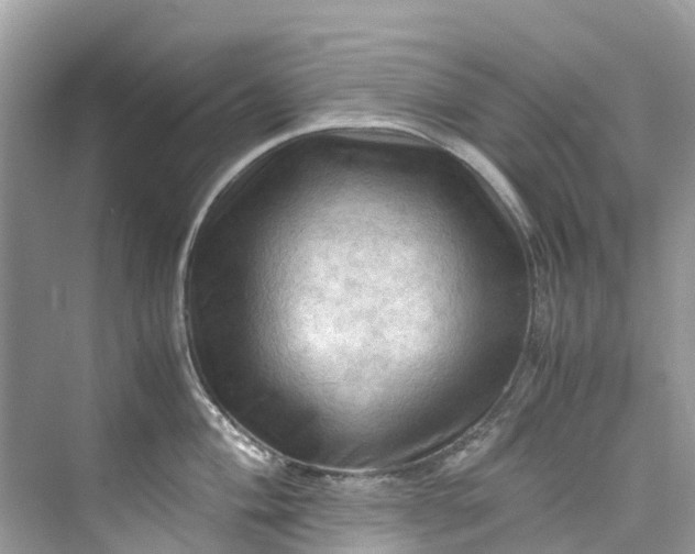 X0000075821004200609291406