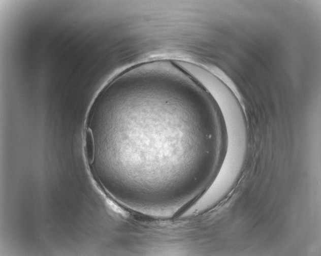 X0000075821005200609291406