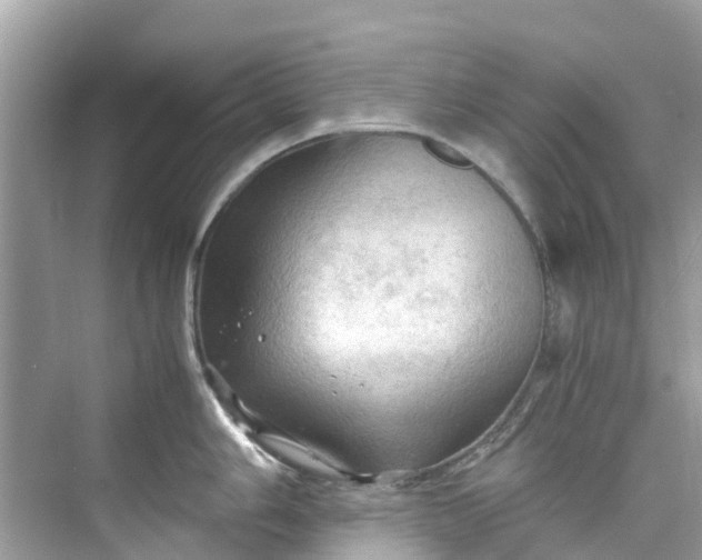 X0000075821006200609291406