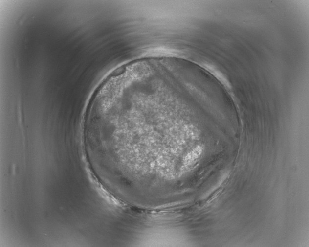 X0000075821008200609291406