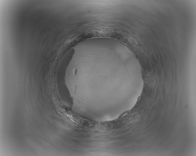 X0000075821009200609291405