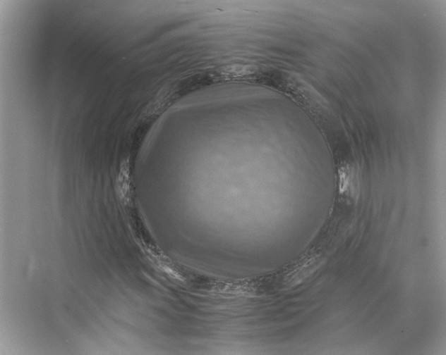 X0000075821011200609291405