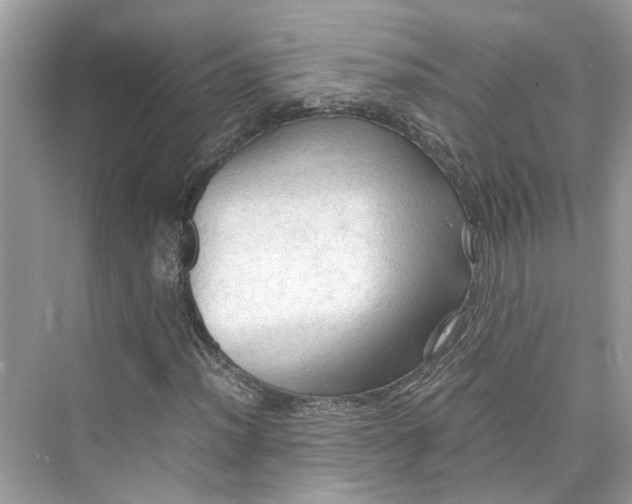 X0000075821012200609291405