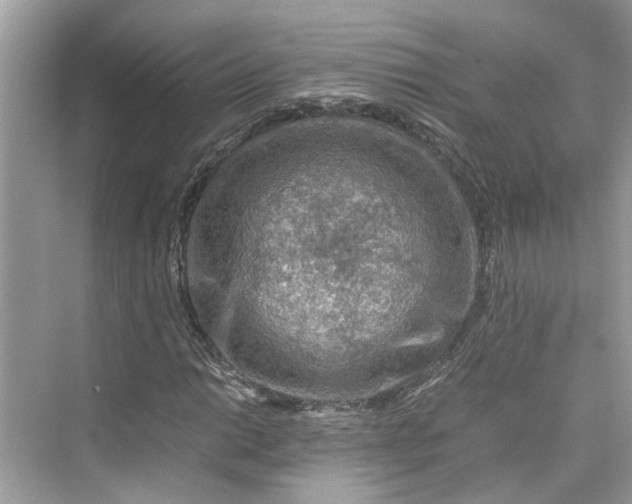 X0000075821014200609291405