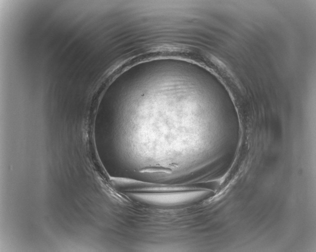 X0000075821017200609291405