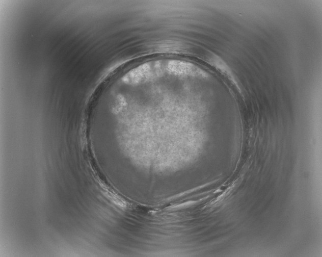 X0000075821019200609291405