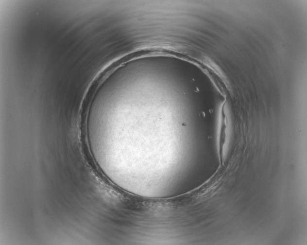 X0000075821020200609291405