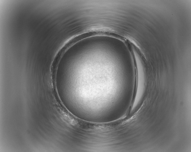 X0000075821022200609291405