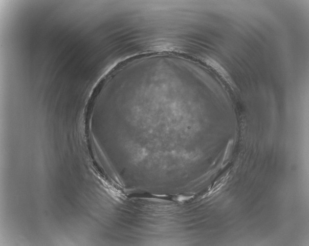 X0000075821023200609291405