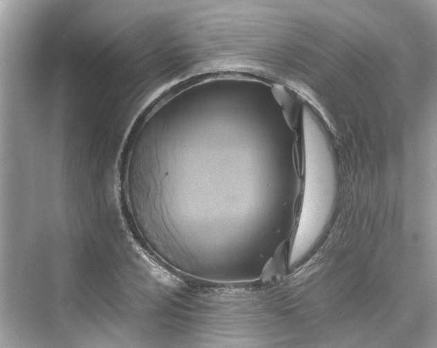 X0000075821024200609291405