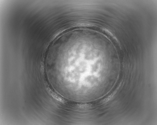 X0000075821025200609291405