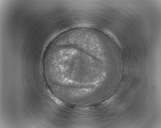 X0000075821027200609291405