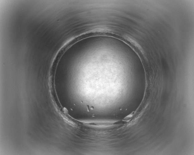 X0000075821029200609291405