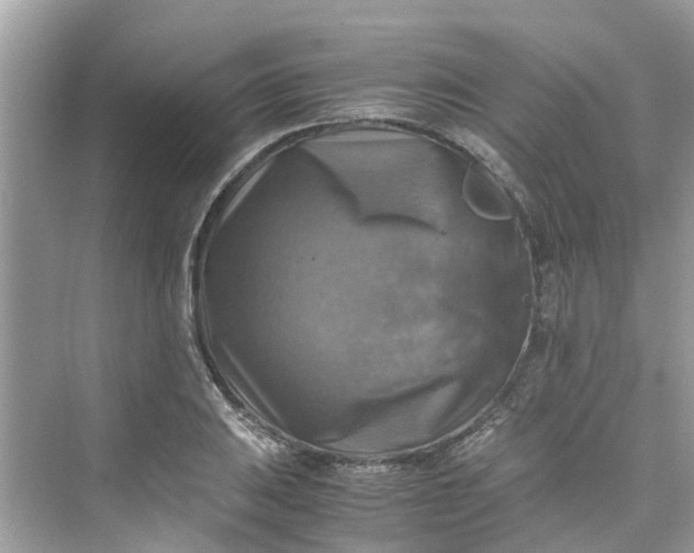 X0000075821031200609291405