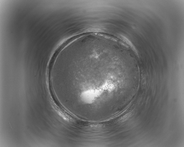 X0000075821035200609291405