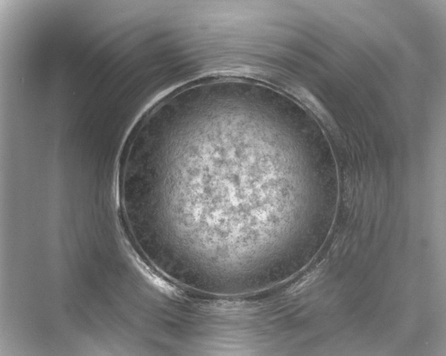 X0000075821036200609291406