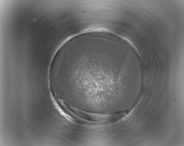 X0000075821038200609291406