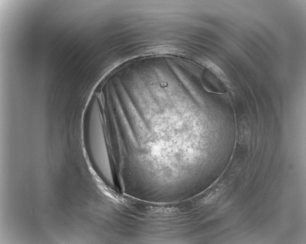 X0000075821039200609291406