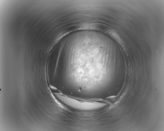 X0000075821041200609291406