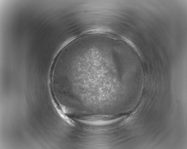 X0000075821042200609291406