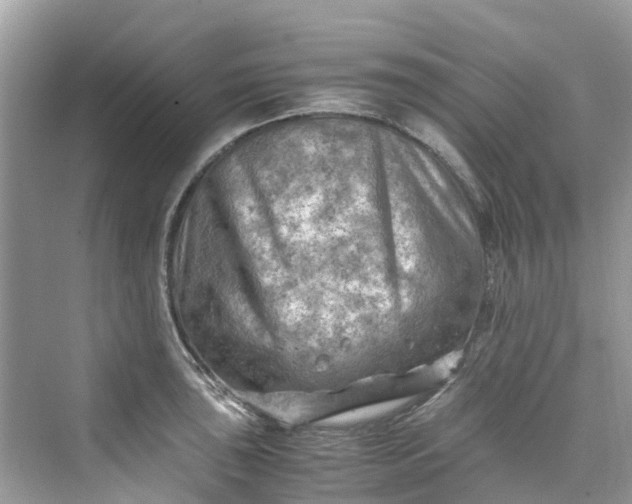 X0000075821043200609291406