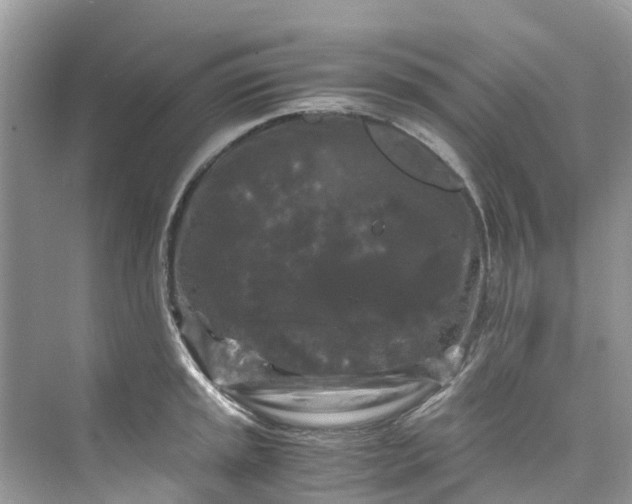 X0000075821045200609291406