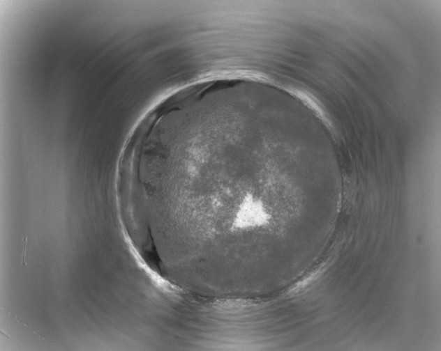 X0000075821046200609291406