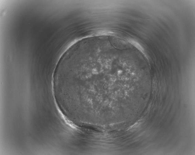 X0000075821047200609291406