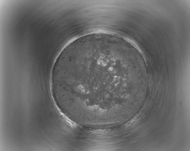 X0000075821048200609291406