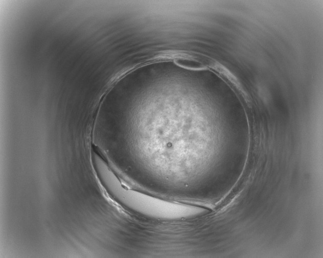 X0000075821049200609291406