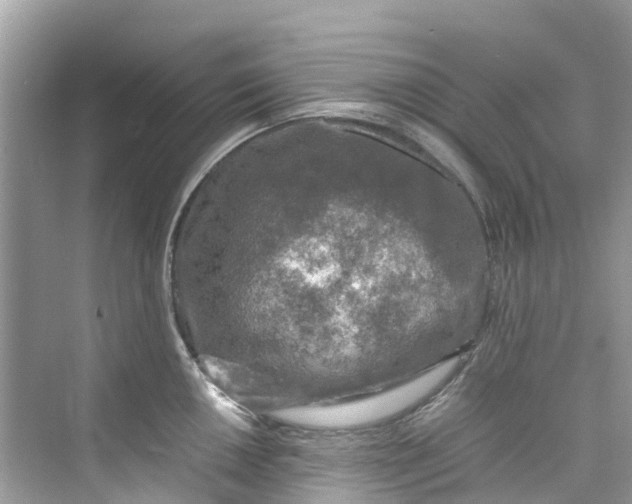 X0000075821050200609291406