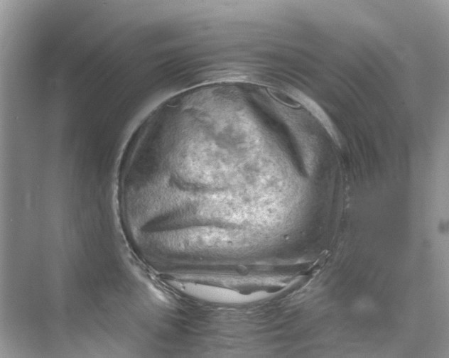 X0000075821051200609291406