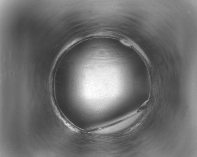 X0000075821053200609291406