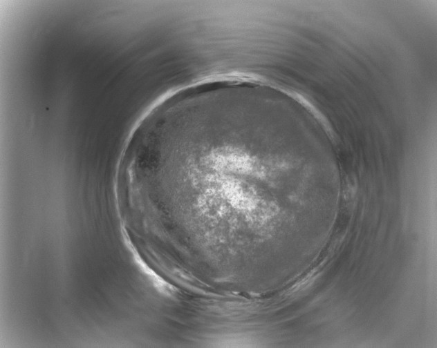 X0000075821054200609291406