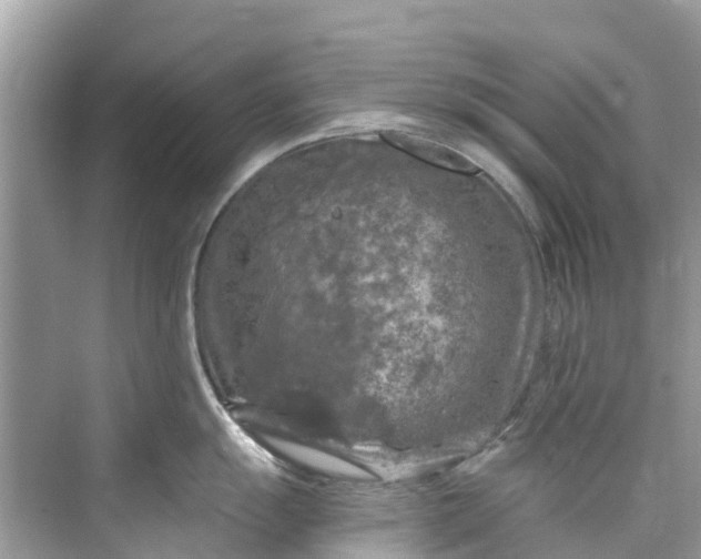 X0000075821055200609291406