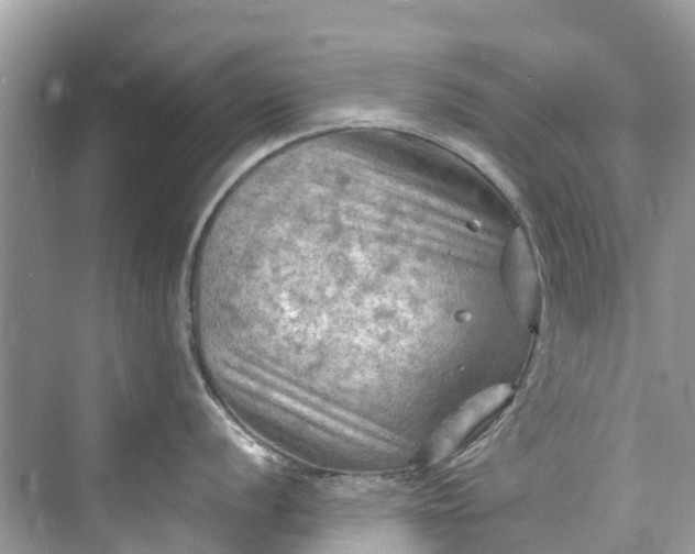 X0000075821056200609291406