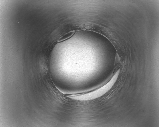 X0000075821058200609291405