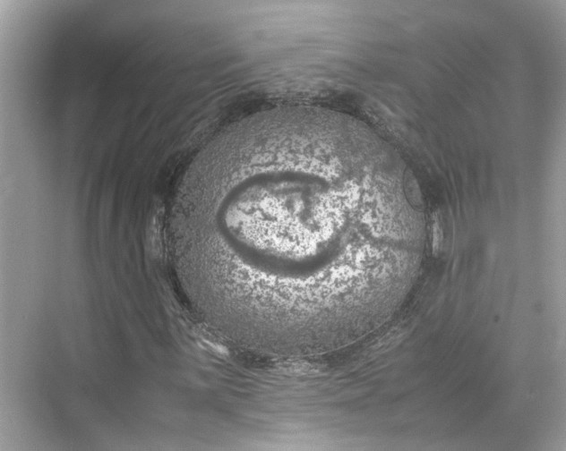 X0000075821059200609291405