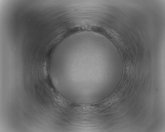 X0000075821060200609291405