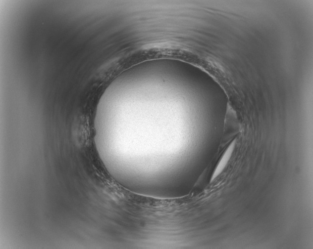 X0000075821062200609291405