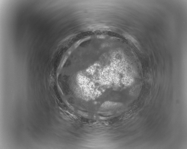 X0000075821063200609291405