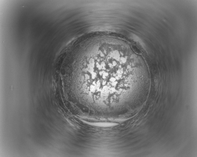 X0000075821064200609291405