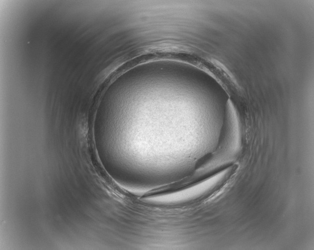 X0000075821065200609291405