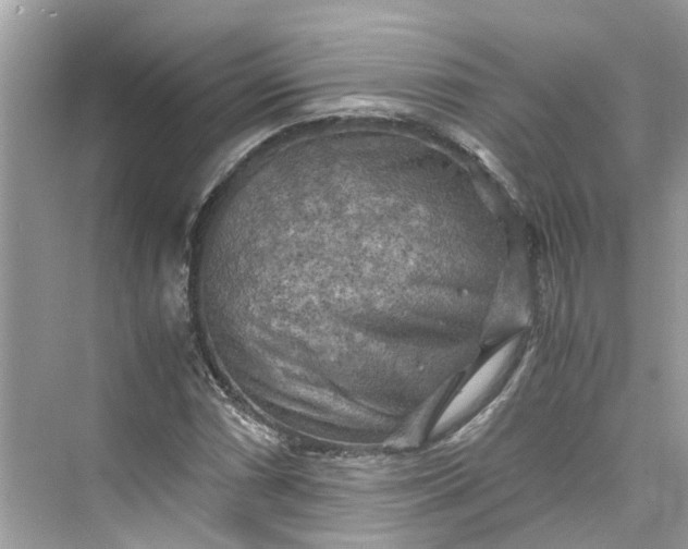 X0000075821066200609291405