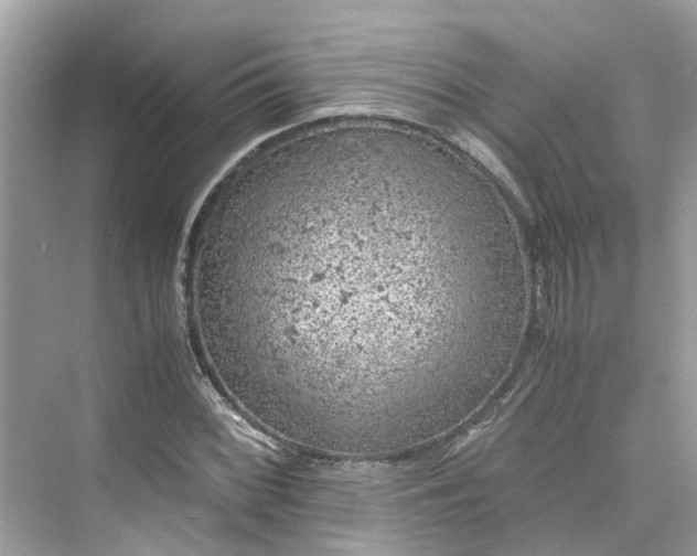 X0000075821068200609291405