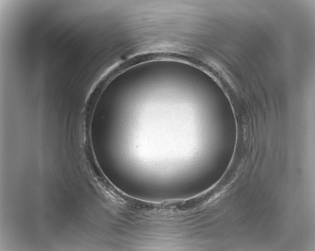 X0000075821069200609291405