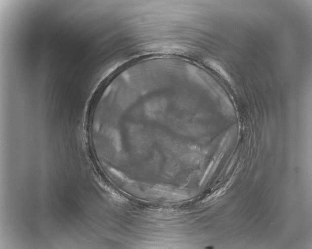 X0000075821071200609291405