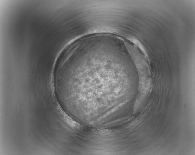 X0000075821072200609291405