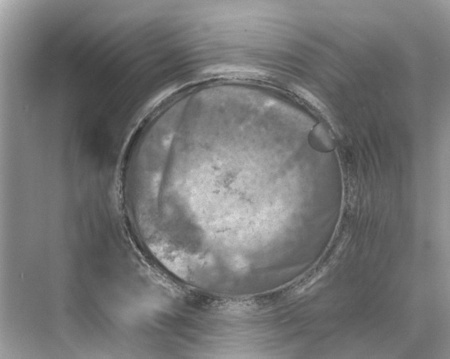 X0000075821074200609291405